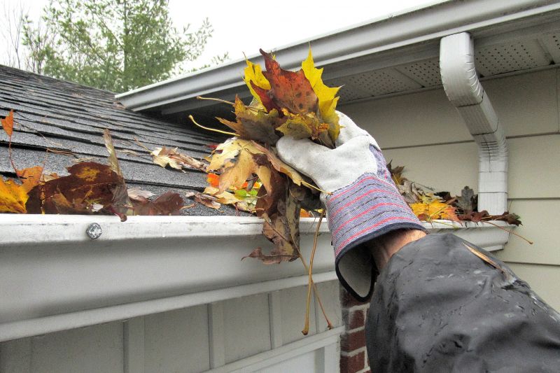 Gutter Cover Inspection