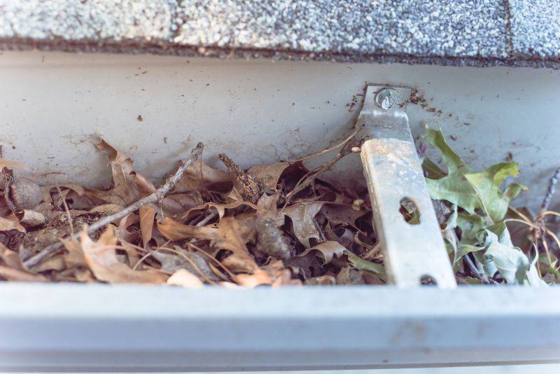 Gutter Covers with Debris